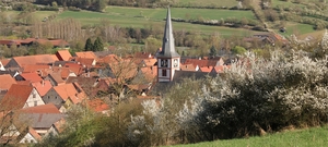 Röttingen Dorfbild